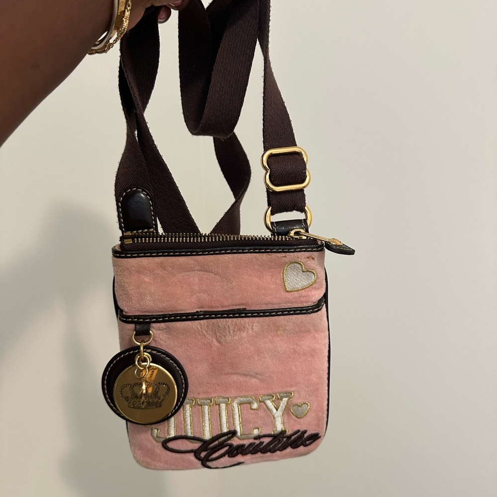 Juicy Couture Purse
